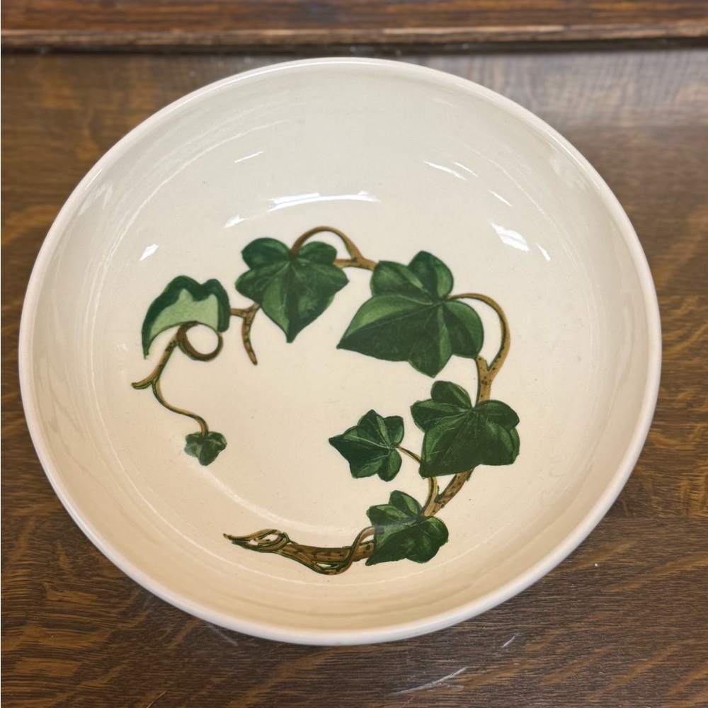 Vintage Mid Century California Ivy Poppy Trail Serving Pasta Bowl Hand Painted